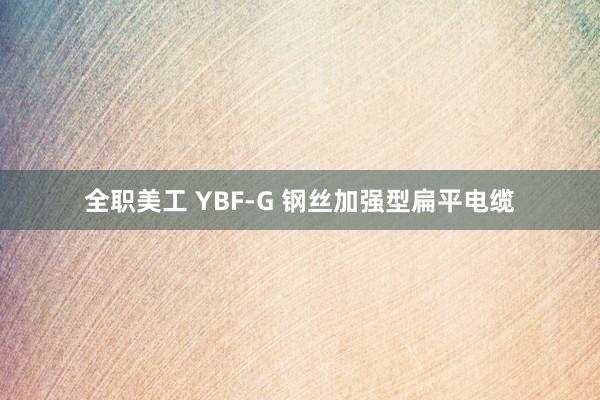 全职美工 YBF-G 钢丝加强型扁平电缆