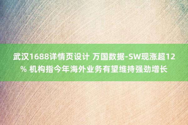 武汉1688详情页设计 万国数据-SW现涨超12% 机构指今年海外业务有望维持强劲增长