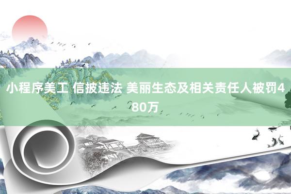 小程序美工 信披违法 美丽生态及相关责任人被罚480万