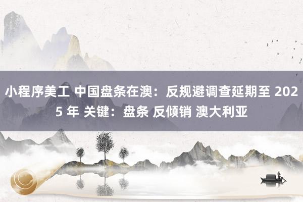 小程序美工 中国盘条在澳：反规避调查延期至 2025 年 关键：盘条 反倾销 澳大利亚