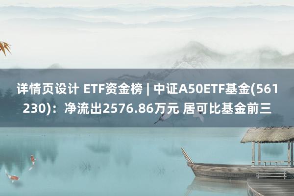 详情页设计 ETF资金榜 | 中证A50ETF基金(561230)：净流出2576.86万元 居可比基金前三